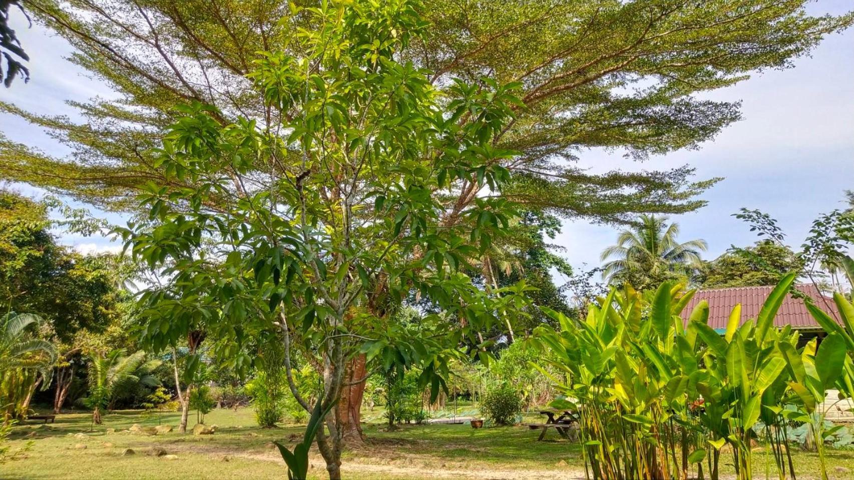 Baan Bua Cottage Sha Extra Plus B5510 Ko Kut Exterior foto